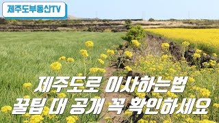 제주도로 이사하는 방법,꿀팁 대 공개(제주도부동산TV)