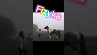 Jazda konna niczego cię nie nauczy!!!                     #edit #konie #horses #shorts #horse #memes