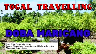 TOGAL TRAVELLING ||❌|| DOBA MARICANG