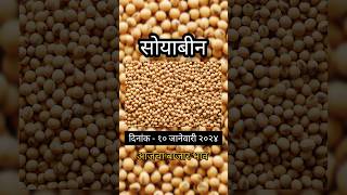 आजचे सोयाबीन बाजार भाव|ajche soyabean bajar bhav|soyabean price #soyabeanbhav #सोयाबीन