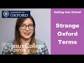 #Oxford Terms That You Need To Know