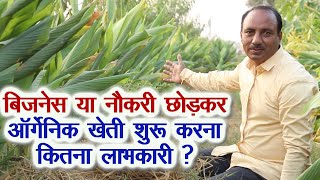 ऑर्गेनिक खेती शुरू करना कितना लाभकारी, लाखों कमाने का सच देखिए, In organic farming profit or loss