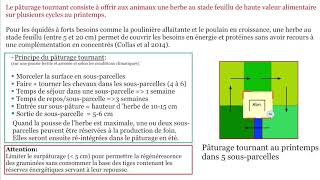 Le pâturage tournant