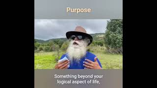Purpose Of Life 🔥 || Sadhguru Exclusive #shorts