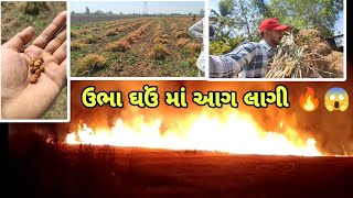 ચણા વાઢવાં નું કામ ચાલું 👳🏻 | ઉભા ઘઉં માં આગ લાગી 🔥😱