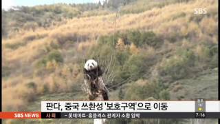 축구장 33개 크기…멸종위기 판다 위한 보호구역 / SBS