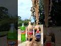 coke and pepsi sodas vs mentos 28 satisfying experiment asmr