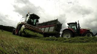 Grashäckseln  2016 mit Claas Jaguar 870