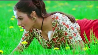Dil Ka Kya Kare Sahib || Hum Unhi Pe Marte Hain || Jeet Movie || Tabbu & Sunny Deol