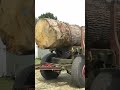 Burrell Traction Engine on Heavy Haulage Pulls Log Wagon