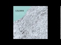 calibre think on