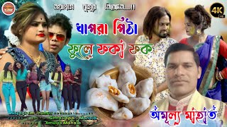 খাপরা পিঠা ফুলে ফকা ফক // Singer - Amulya Mahata || Khapra Pitha Fulle Phka Phak