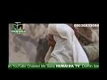 Karamomin Sahabban Manzon Allah S.A.W By Sheikh Kabiru Haruna Gombe @HUMAIDA TV