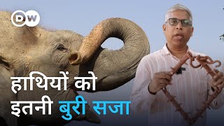 मिलिए भारत में हाथियों के सच्चे रखवालों से [India's first Elephant Hospital]