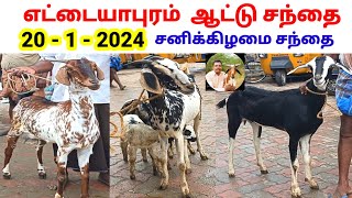 20 - 1 - 2024 / எட்டையாபுரம் ஆட்டு சந்தை / Ettayapuram Goat Sheep Market சனிக்கிழமை@tamilvivasayi