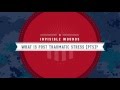 What Is Post-Traumatic Stress?