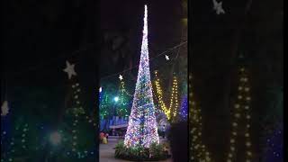 ഹാപ്പി ക്രിസ്മസ്  🥰🥰🥰#cristmas #viralshort #shortvideo #viralshort #trending #jesus