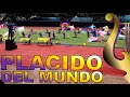 Placido Del Mundo Elementary School DLC | JUDGE'S VIEW | National Drum and Lyre Competition 2024