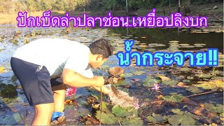 กู้เบ็ดปลาช่อน..ปักด้วยเหยื่อปลิงบก..หมานมั๊ยต้องดู | วิถีพื้นบ้าน Channel