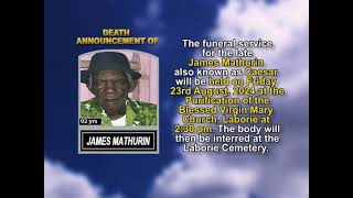 James Mathurin short