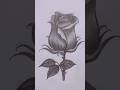 How to draw rose flower with pencil। Easy rose flower drawing।#drawing #art  #viral #shorts #short