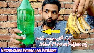 How to Make Banana peel fertilizer | Potassium Rich Liquid Fertilizer | Banana Fertilizer For Plants