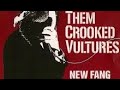 New Fang - Them Crooked Vultures (Drum Cover) #newfang #themcrookedvultures