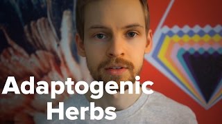 My Experiences with Adaptogenic Herbs