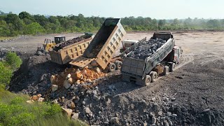 Great! Team Action Dozer LiuGong B160C Clearing Rock Bury Tree And 25T Dump Trucks Working