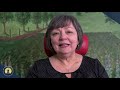 what to expect during your first virtual therapy session susan packer bed basc mdiv