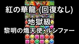 パズドラ 紅の華龍(回復なし) 地獄級 黎明の熾天使・ルシファー 闇属性 HP4倍 回復4倍PT