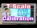 T Scale,Calibration