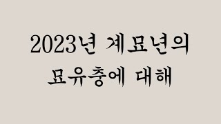 2023년 계묘년의 묘유충에 대해