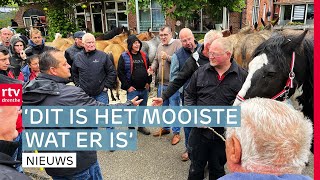 Na bijna 90 jaar weer handjeklap & historische vliegtuigen in Hoogeveen | Drenthe Nu