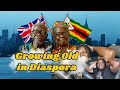 Before You Grow Old in the Diaspora, Watch This 🇿🇼 - Sensitive Discussion