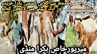 Mirpurkhas Bakra Mandi latest update 26 February 2025 || Bakra Mandi 2025