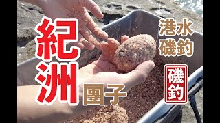 【 香港磯釣 】今次去西水，初嘗紀洲團子釣法，開粉及釣組入門講解 #釣魚#香港磯釣#外礁磯釣#小魚放生#自己垃圾自己帶走#記得洗地#磯釣新手