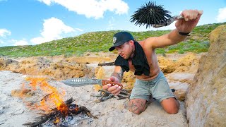 I SURVIVED on a REMOTE BEACH - NO FOOD Survival Challenge