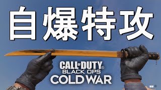 【CoD:BOCW】新モードで可能になった爆破突撃ナイファーが楽しすぎたがボコボコにされた【地雷】