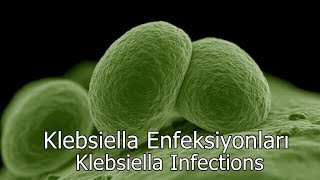 Klebsiella Enfeksiyonları - Klebsiella Infections - (Binaural / Isochronic / Enerji Frekansı)