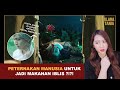 BOCIL DIJADIKAN MAKANAN UNTUK IBLIS ?!?! | Alur Cerita Film oleh Klara Tania