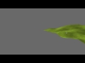 Panda3D Terrain Generation, Rotation, Mouse Wheel