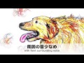 舌を出してハアハアする大型犬の呼吸（録音 効果音） panting dog recording sound effect