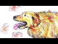 舌を出してハアハアする大型犬の呼吸（録音 効果音） panting dog recording sound effect