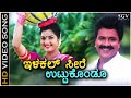 Ilkal Seere Utkondu - Kaurava - HD Video Song | BC Patil | Prema | LN Shastry | Kusuma | Hamsalekha