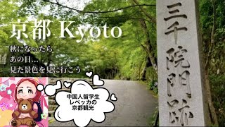 【まだ間に合う？】京都紅葉おすすめスポット│京都大原三千院【フォトジェニックMG】