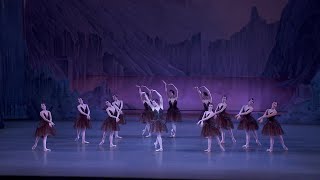 NYC Ballet's Emily Kikta on George Balanchine's SWAN LAKE: Anatomy of a Dance