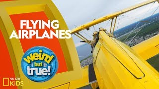 Flying Airplanes with "Weird But True!" | Weirdest, Bestest, Truest