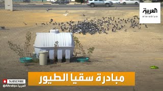 صباح العربية | مبادرة سقيا الطيور باستخدام خزانات المياه في السعودية