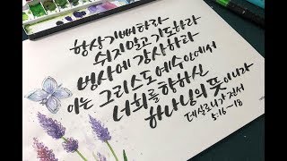 기진쌤 1일캘리 성경말씀 캘리그라피 The Bible calligraphy and flower calligraphy